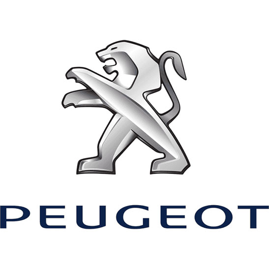 Peugeot Auto Parts